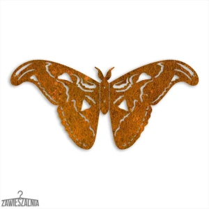 Zawieszalnia – 3D wanddecoratie Vlinder Atlasvlinder L 50 cm Corten staal
