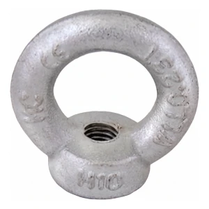 Oogmoer verzinkt M10 DIN 582 – staal C15