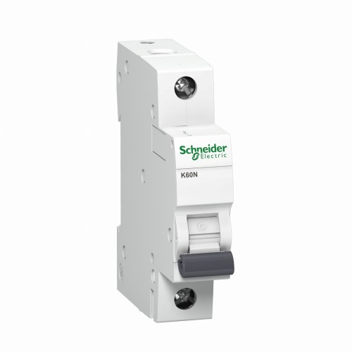 Overstroomschakelaar C 20A 1P 6kA K60N-C20-1 Acti9 A9K02120 SCHNEIDER ELECTRIC GPV-401-189