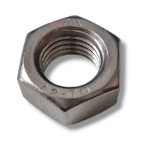 Zeskantmoer M16 DIN 934