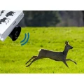 Wildafweer: wilde zwijnen, vossen, reeën VIANO (OZ1) PV-400-46 (8)