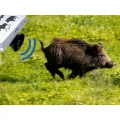 Wildafweer: wilde zwijnen, vossen, reeën VIANO (OZ1) PV-400-46 (12)