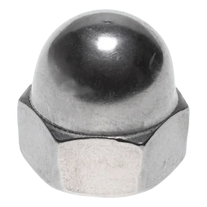 Dopmoer M10 roestvast staal A2 DIN 1587